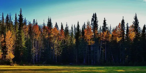 Athabasca Riverfront Park
