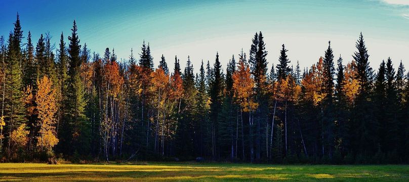 Athabasca River Front Park