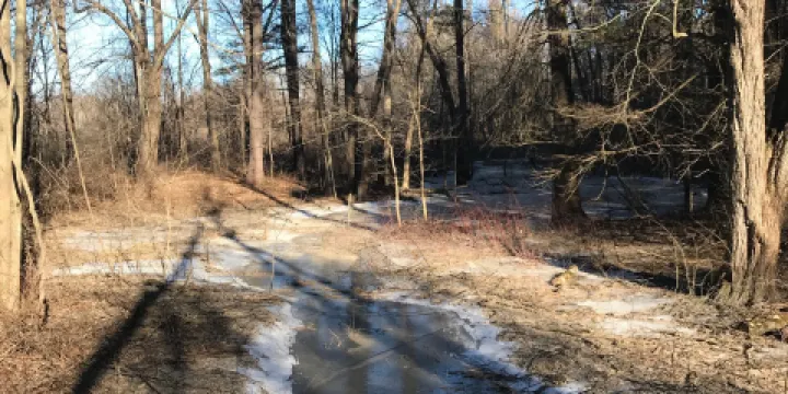 Silvio O. Conte National Fish and Wildlife Refuge