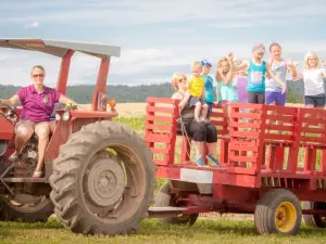 Green Valley Farm