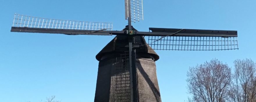 Waarland