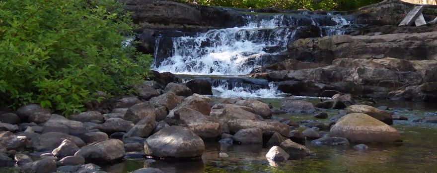Schroon