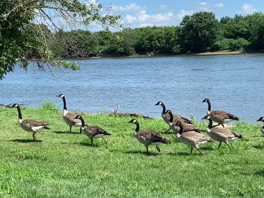 Hotels near William G. Stratton State Park