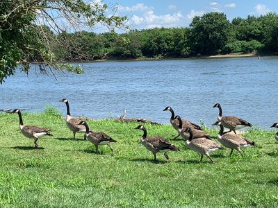 William G. Stratton State Park