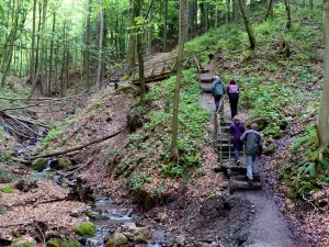 Altenbachklamm