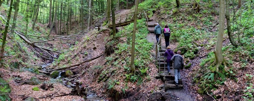 Altenbachklamm