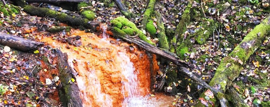 David's Mill Waterfall