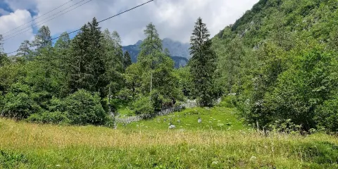 Alpine Botanical Garden Juliana