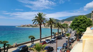 Monument to Napoleon and His Brothers
