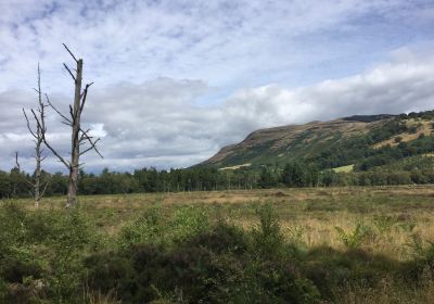 Portmoak Moss