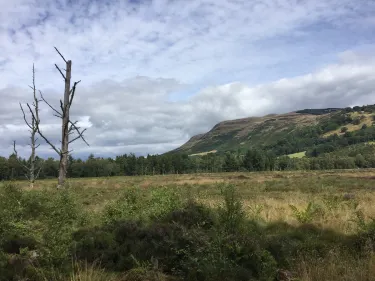 Portmoak Moss