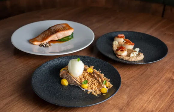 Tanuki Thai Restaurant