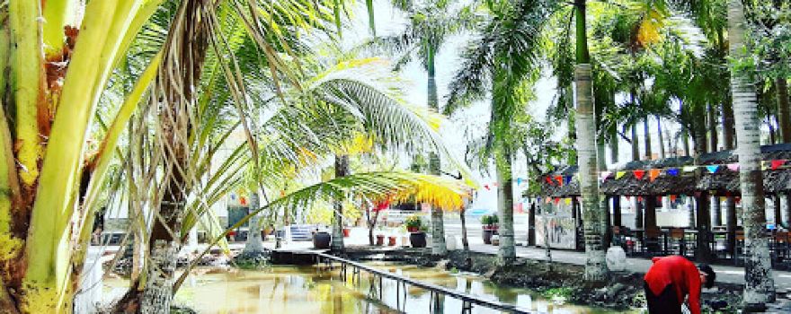 Công Ty Tnhh Mtv Du Lịch Sinh Thái Quốc Tế