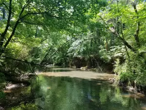 Tinsley Park Dog Park