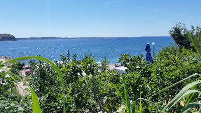 Camp Miočić Rtina, Croatia