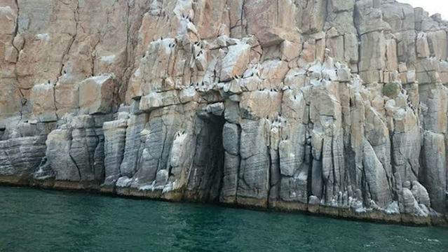 Extra Divers Musandam