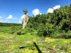 Judge's Sugar Windmill Tower