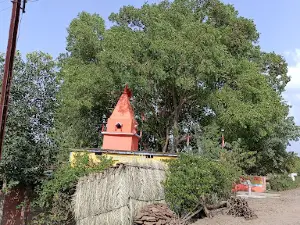 Devi Mata Mandir & Sirdi Sai Mandir sirdi