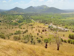 Bukit Timah