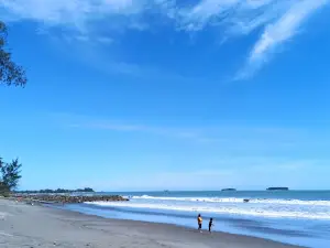 Konservasi Penyu