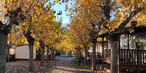 索拉納德爾塞格雷露營地