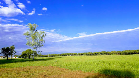 Puerto Fonciere