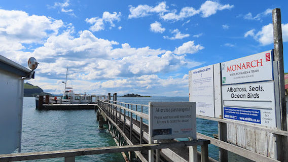 Eden Wildlife Cruises & Sea Kayaking