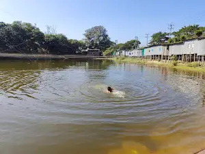 Arshinagar Park & Mini Zoo