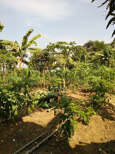 Lapangan Sepak Bola Gajah Mada