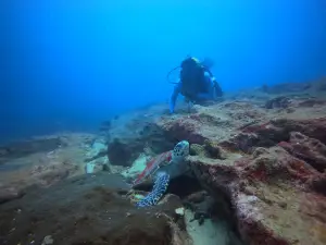 Kalpitiya ocean Lanka