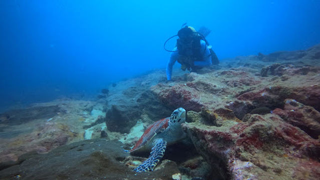 Kalpitiya ocean Lanka