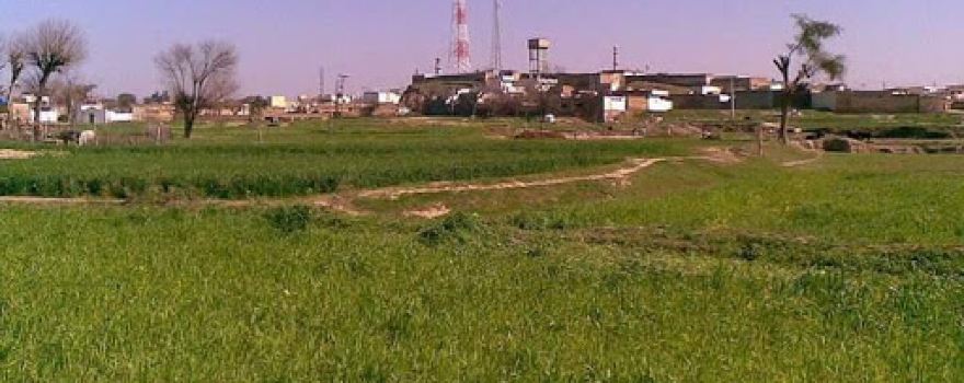 Mosque Mohalla Badwal