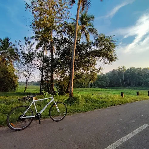 Kozhukkully Paddy fields