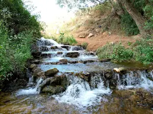 Göl Değirmeni