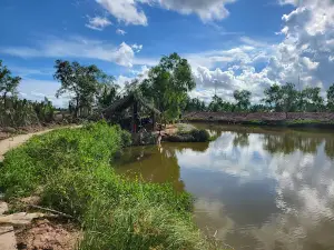 RỪNG NGẬP MẶN SINH THÁI