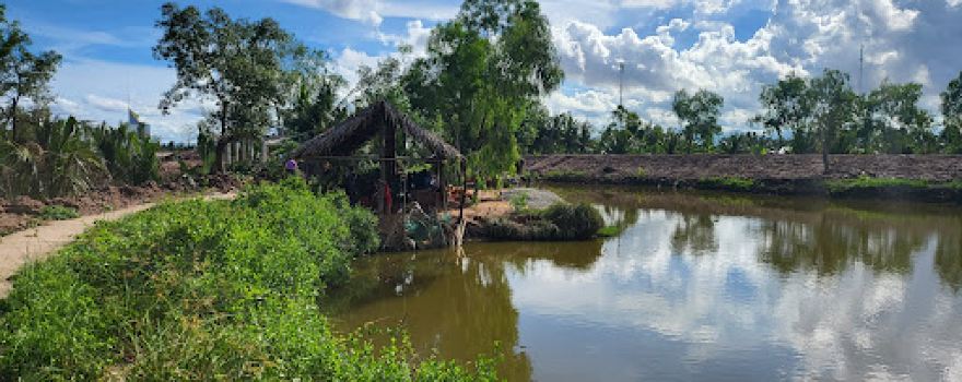 RỪNG NGẬP MẶN SINH THÁI