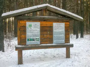 Pamyatnik Prirody "Sosnovyy Bor V G. Kanske"