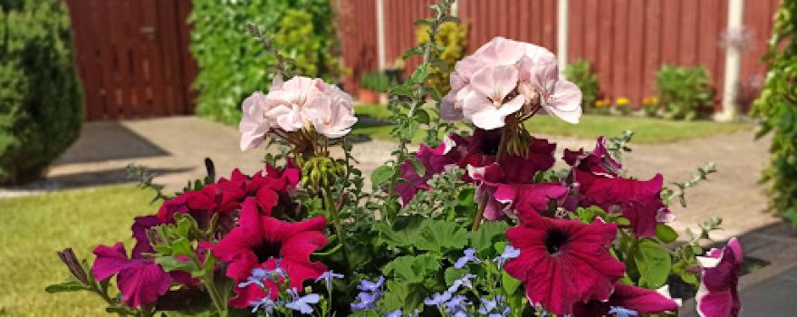 nursery Termeer