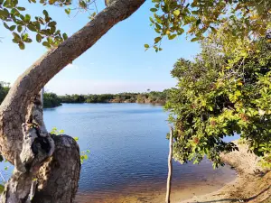 Playa la pica