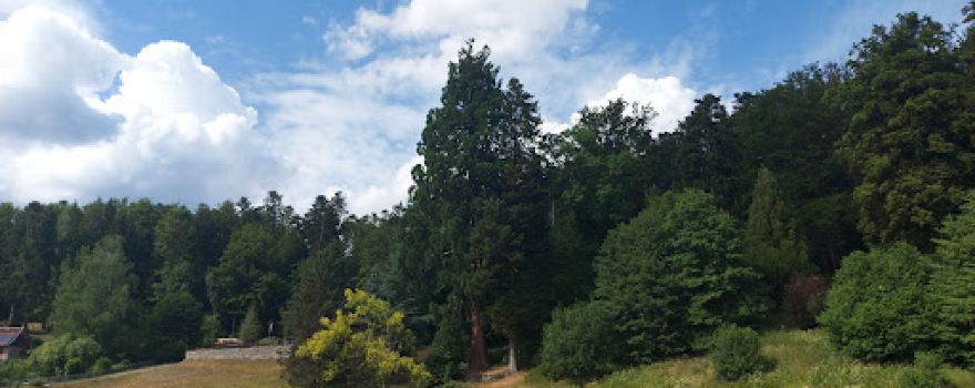 Arboretum