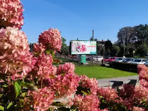 Municipal Cultural Center