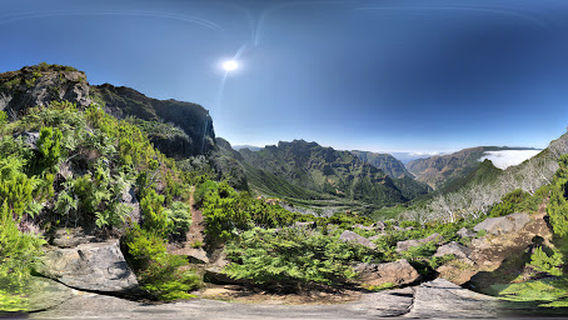 Camara de Lobos