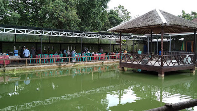Kolam Renang Oasis