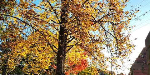 Alex Stockwell Gardens