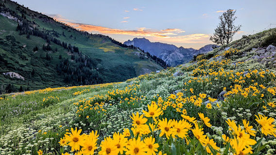 Catherine’s Pass
