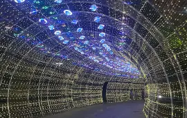 Công Viên Thành Phố Mới Bình Dương