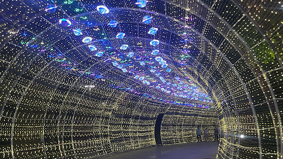 Công Viên Thành Phố Mới Bình Dương