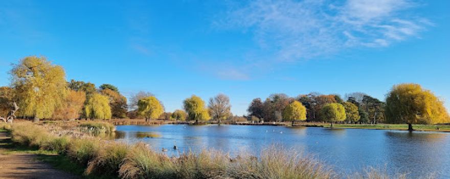 Shaef Gate, Bushy Park