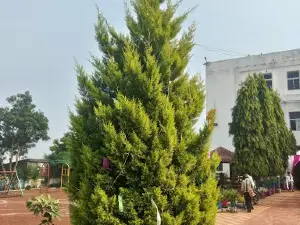 Front Gate Of Fort