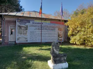 SAT NEOLITIC